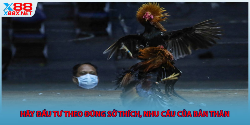 Hãy đầu tư theo đúng sở thích, nhu cầu của bản thân