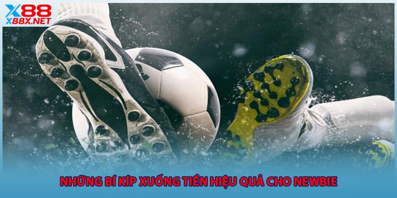 Những bí kíp xuống tiền hiệu quả cho newbie